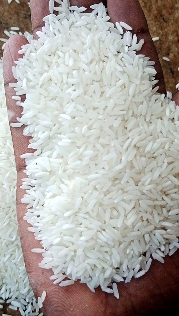 A palm full of slender white raw rice grains held over the lot